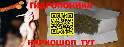 индика Конаково