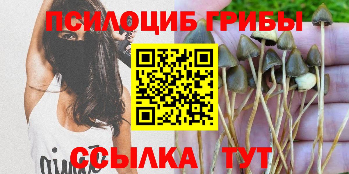 Псилоцибиновые грибы Cubensis Жуковский