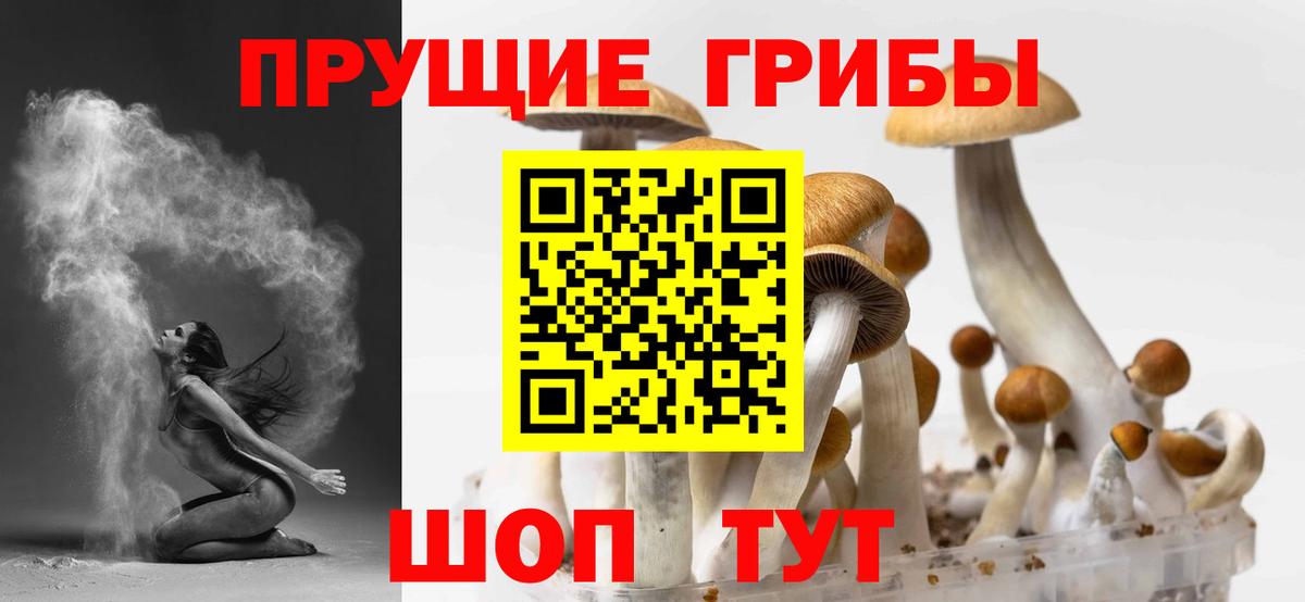 Галлюциногенные грибы мухоморы  Галлюциногенные грибы прущие грибы  Вход с VPN  Жуковский 